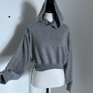 Aritzia “Constant” cropped hoodie in gray